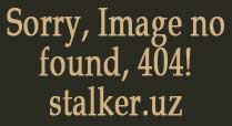 http://stalker.uz/mir-zony/bi