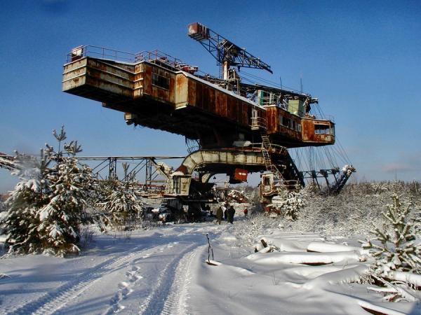 Абзацеры – вымирающие гиганты Лопатинского рудника. (Подмосковье ).