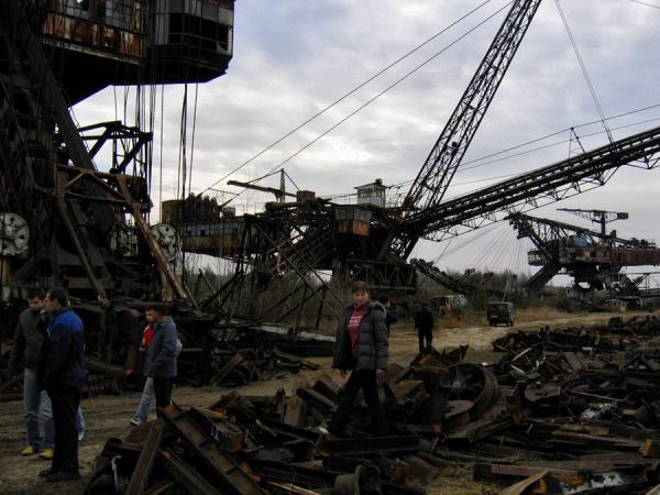 Абзацеры – вымирающие гиганты Лопатинского рудника. (Подмосковье ).