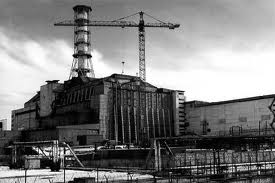 Фауна и флора Чернобыля.