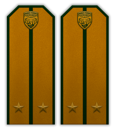 Удостоверения. Успел сделать