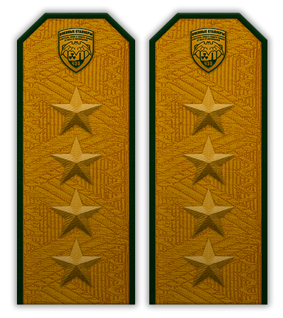 Удостоверения. Успел сделать