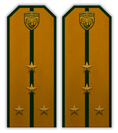 Удостоверения. Успел сделать