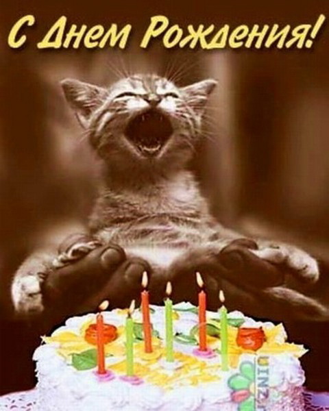 С днем рождения, КостяСемен!