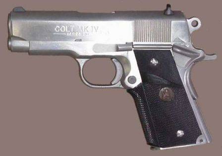 Colt Government / M1911