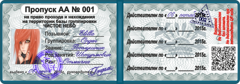 Пропуск сталкер чистое небо. Пропуск пустой. Пропуск чистый. Пропуск распечатка.